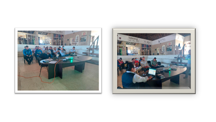 Continuan las operaciones de exportación de azúcar y banano a Estados Unidos a través de Puerto Chiapas